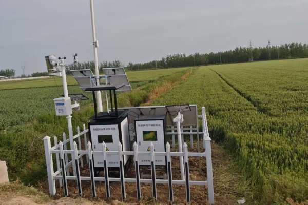 MC-CQCB-II型物聯網智能蟲情